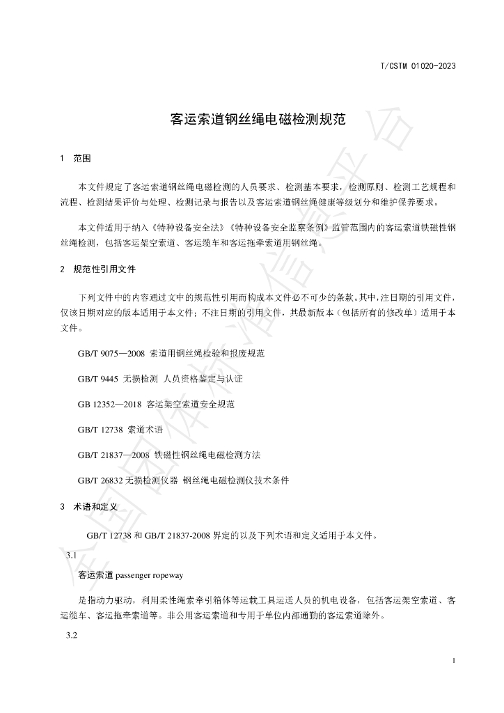 T/CSTM 01020-2023 标准预览