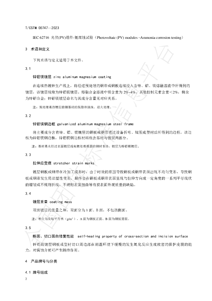 T/CSTM 00747-2023 标准预览