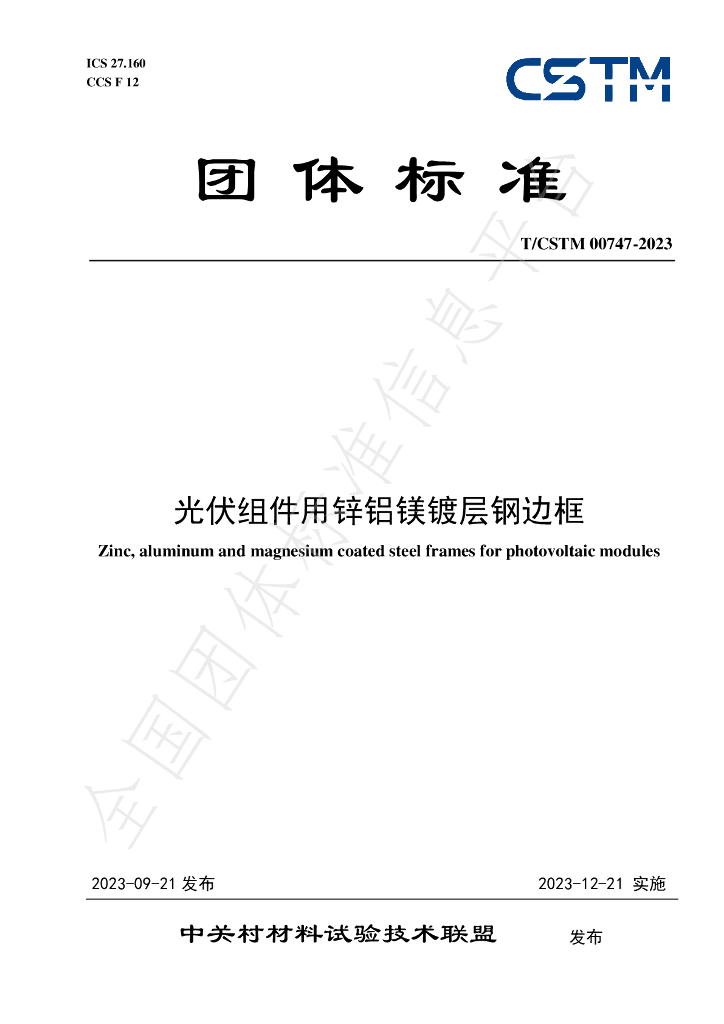 T/CSTM 00747-2023 标准预览