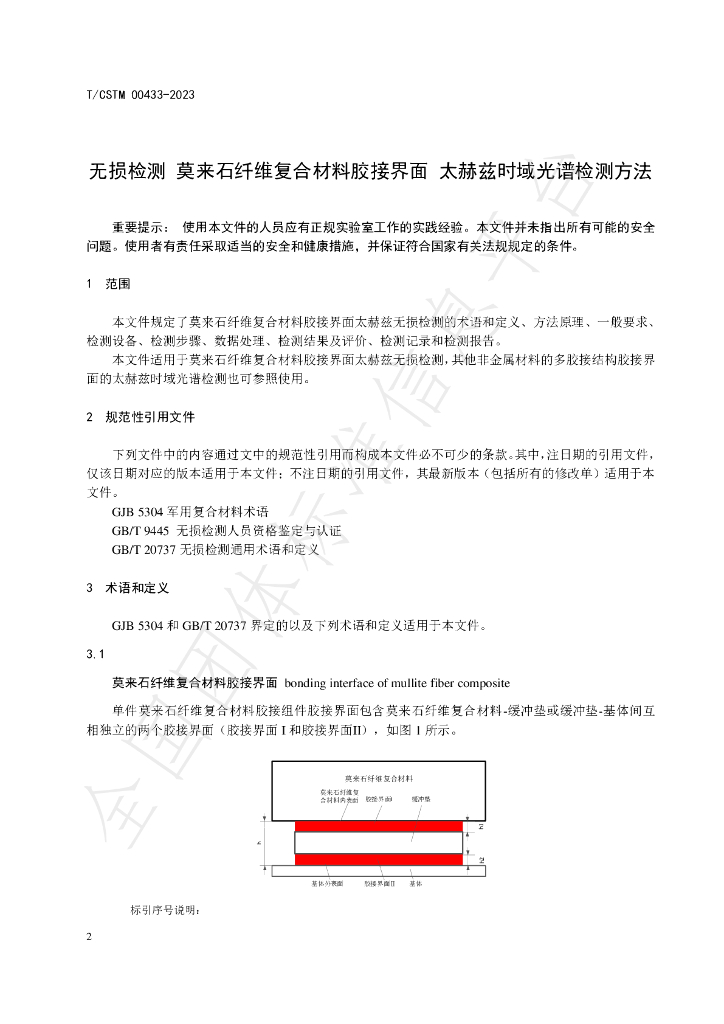 T/CSTM 00433-2023 标准预览
