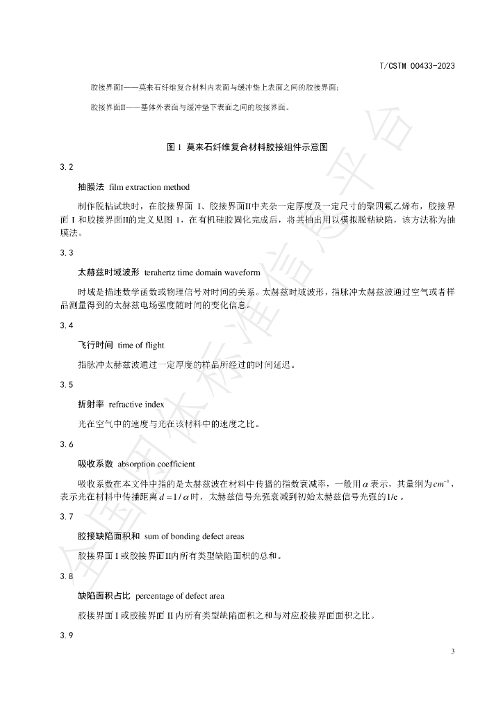 T/CSTM 00433-2023 标准预览