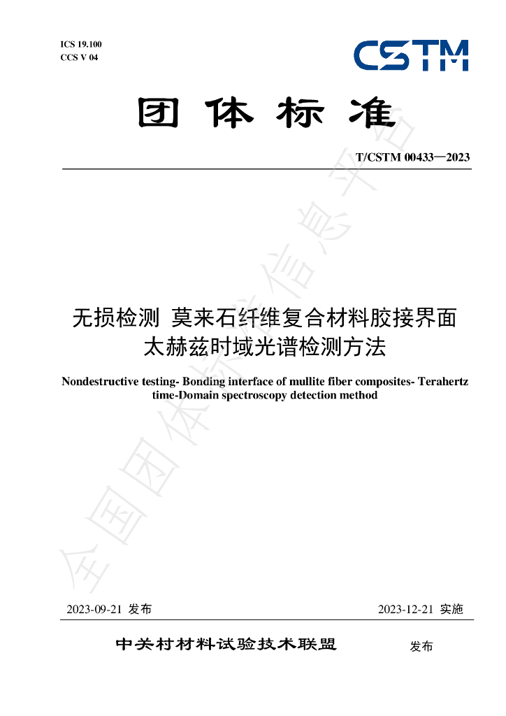 T/CSTM 00433-2023 标准预览