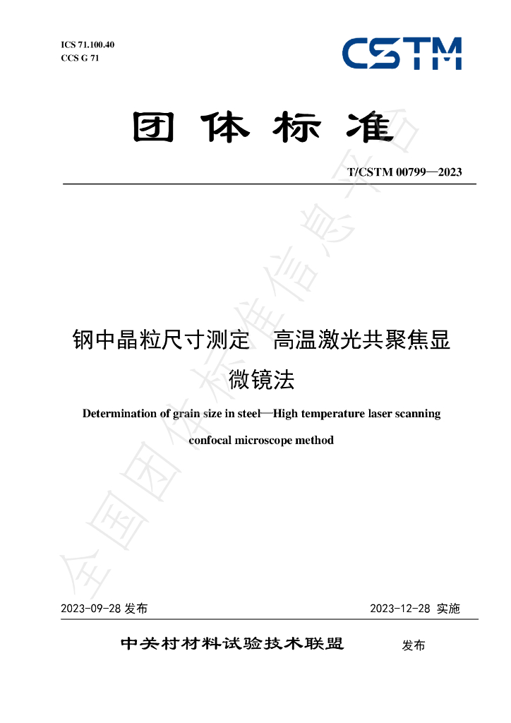 T/CSTM 00799-2023 标准预览