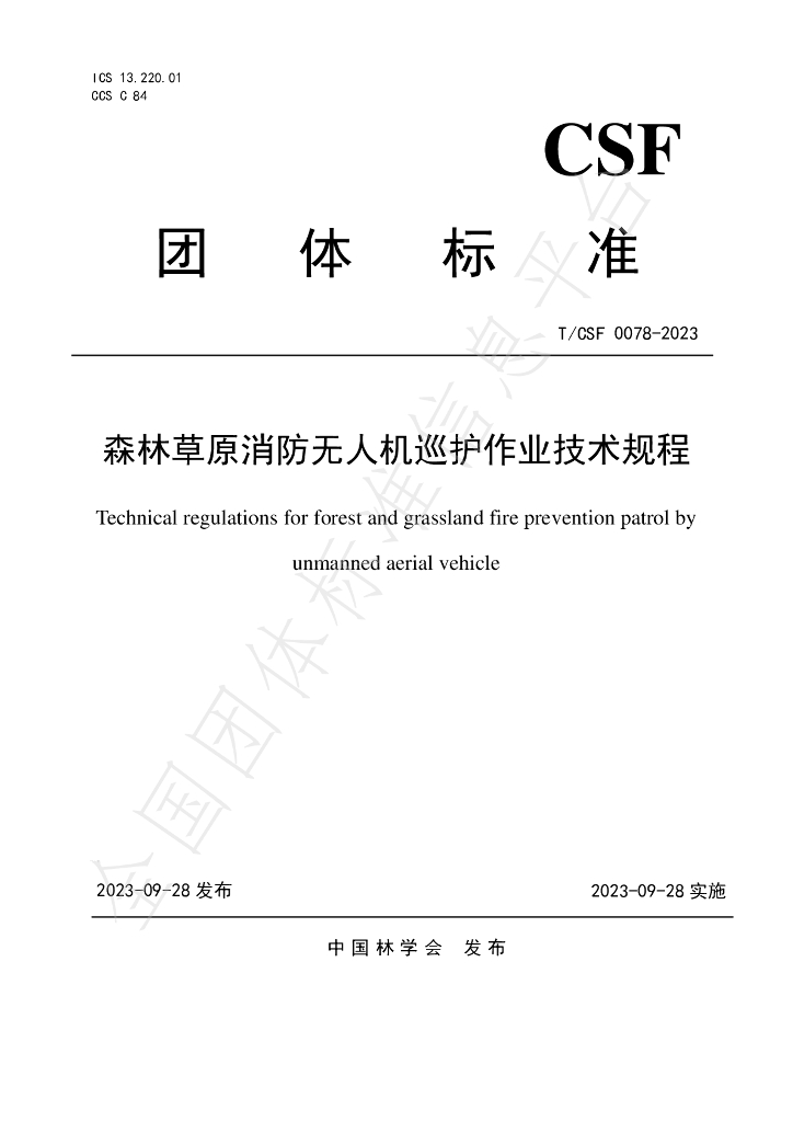 T/CSF 0078-2023 标准预览