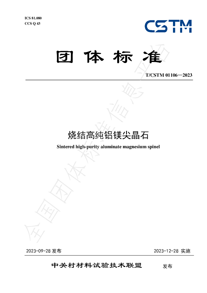 T/CSTM 01106-2023 标准预览