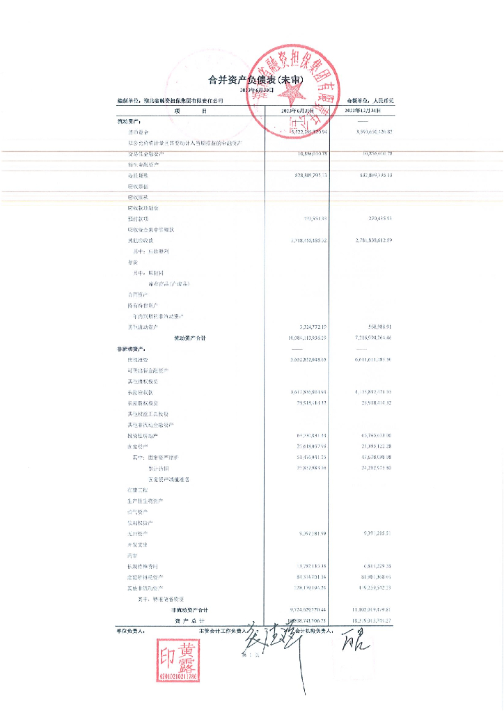 湖北省融资担保集团有限责任公司2023年半年度报告