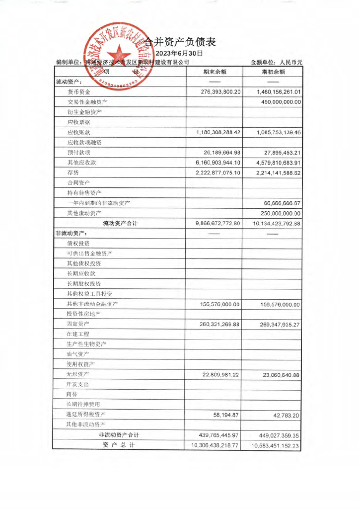 南通经济技术开发区新农村建设有限公司2023年半年度财务报表及其附注(附担保人财务报表)