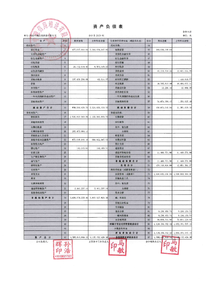 河南中豫信用增进有限公司2023年半年度财务报表