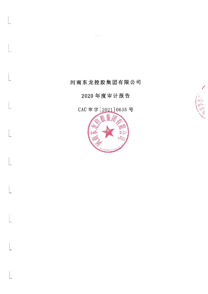 河南东龙控股集团有限公司2020年度经审计的合并及母公司财务报告