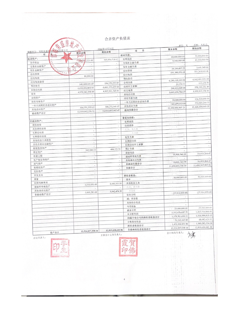 邯郸荣盛房地产开发有限公司2022年年度财务报表