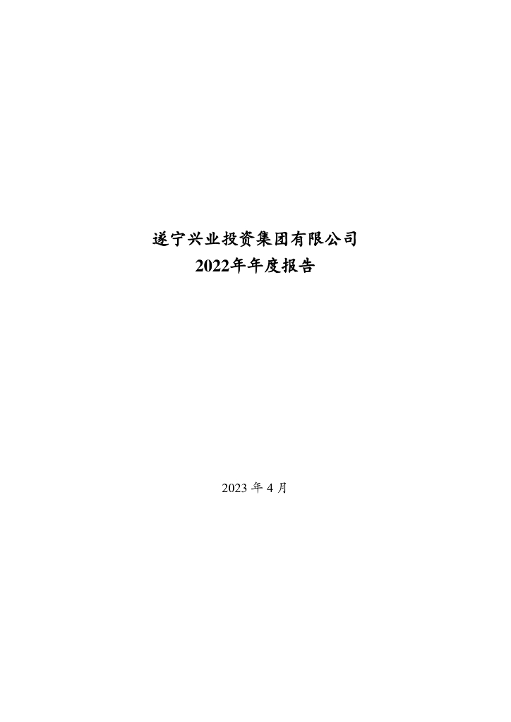 遂宁兴业投资集团有限公司2022年年度报告
