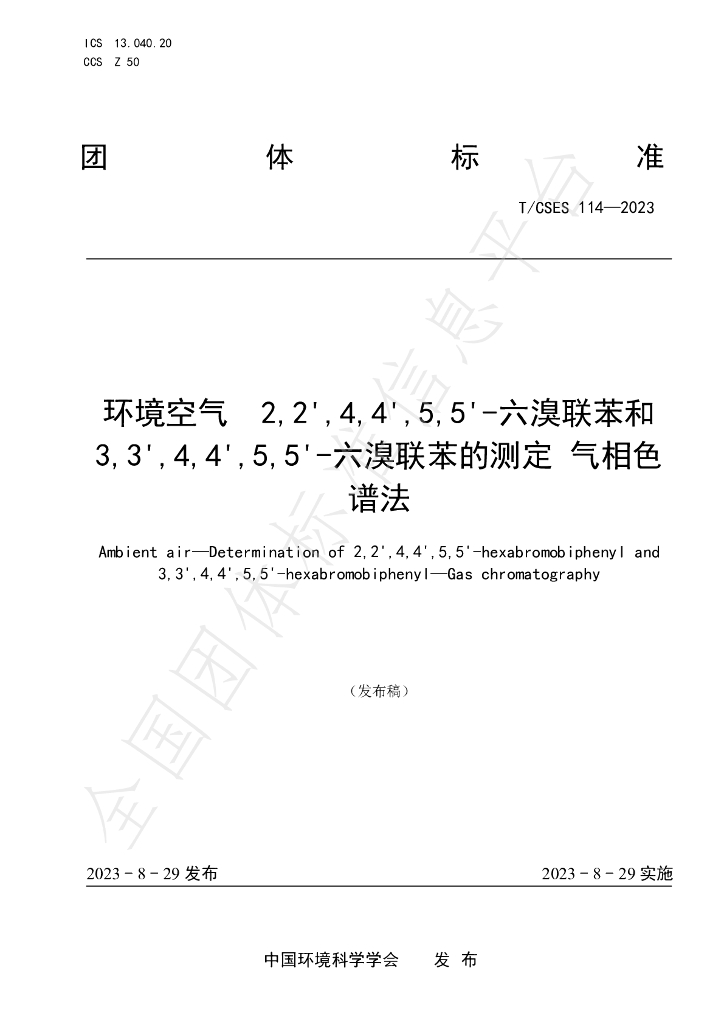 T/CSES 114-2023 标准预览