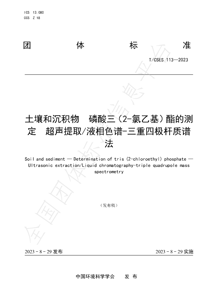 T/CSES 113-2023 标准预览