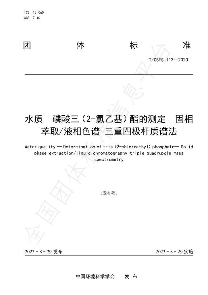 T/CSES 112-2023 标准预览
