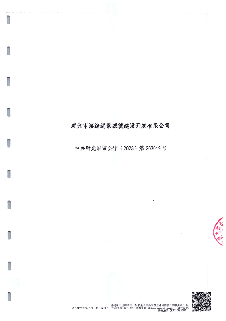 寿光市滨海远景城镇建设开发有限公司公司债券2022年年度财务报告及附注