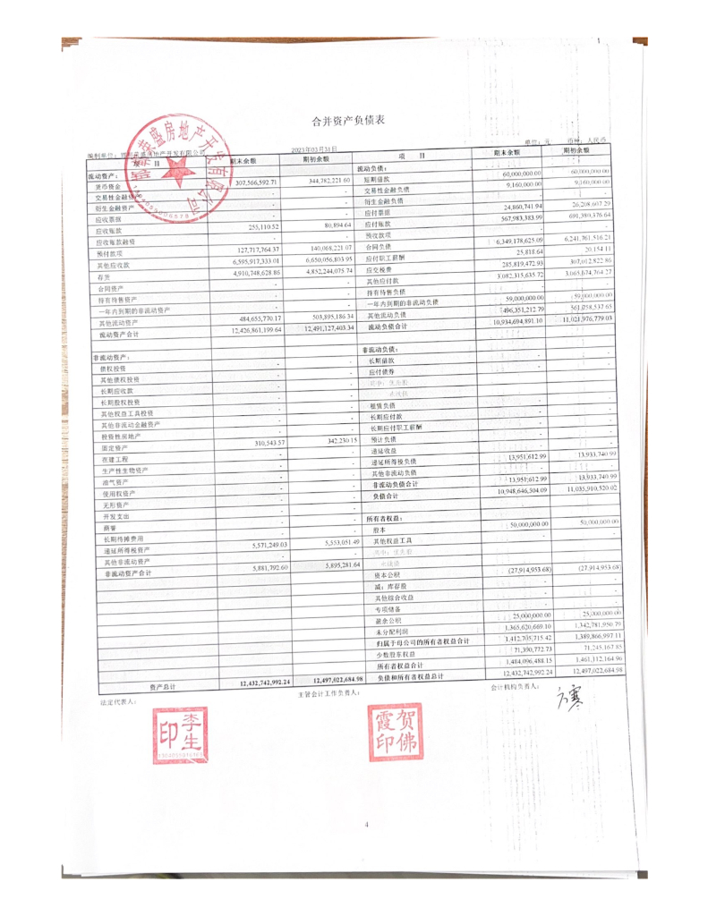 邯郸荣盛房地产开发有限公司2023年一季度财务报表