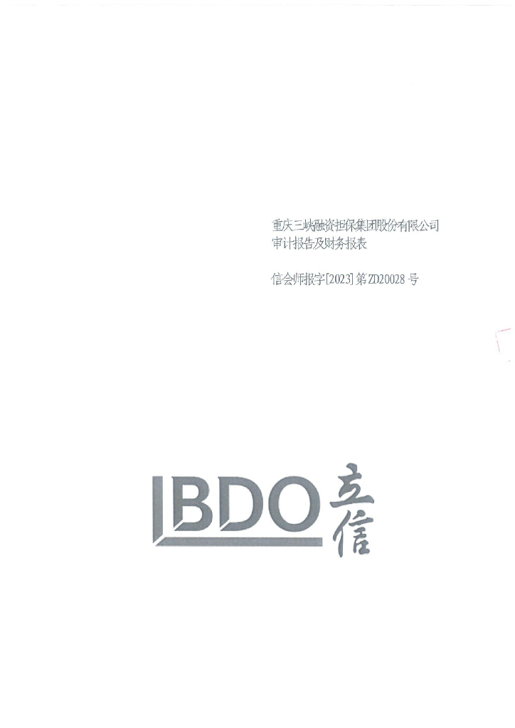 宁乡沩东新城建设开发有限公司公司债券2022年度担保人财务报告及附注(重庆三峡融资担保集团股份有限公司)