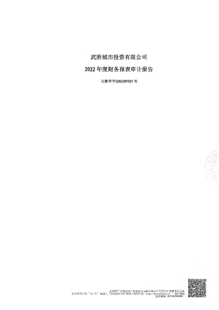 武胜城市投资有限公司2022年度财务报表审计报告