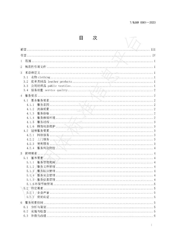 T/BJXR 0001-2023 标准预览