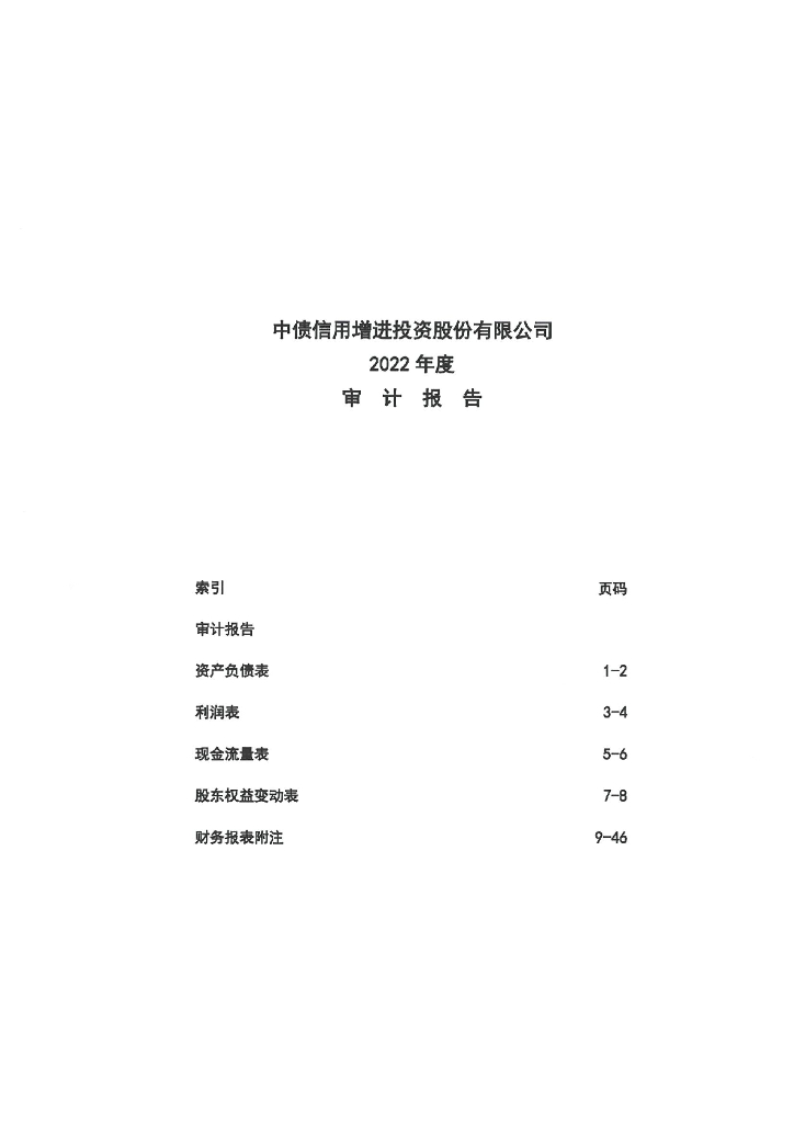 中债信用增进投资股份有限公司2022年年度审计报告(担保人)