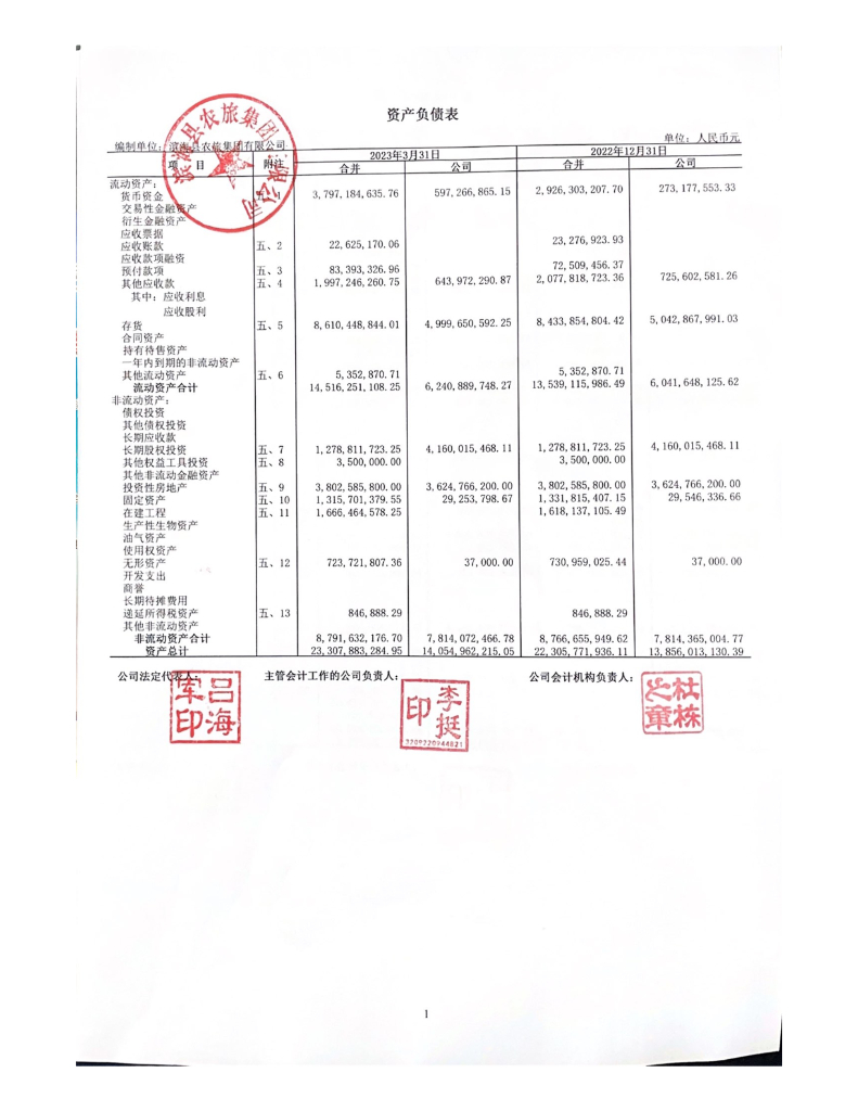 滨海县农旅集团有限公司2023年一季度财务报表