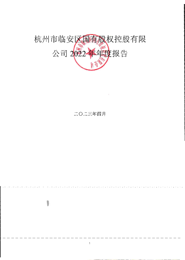 杭州市临安区国有股权控股有限公司2022年年度报告