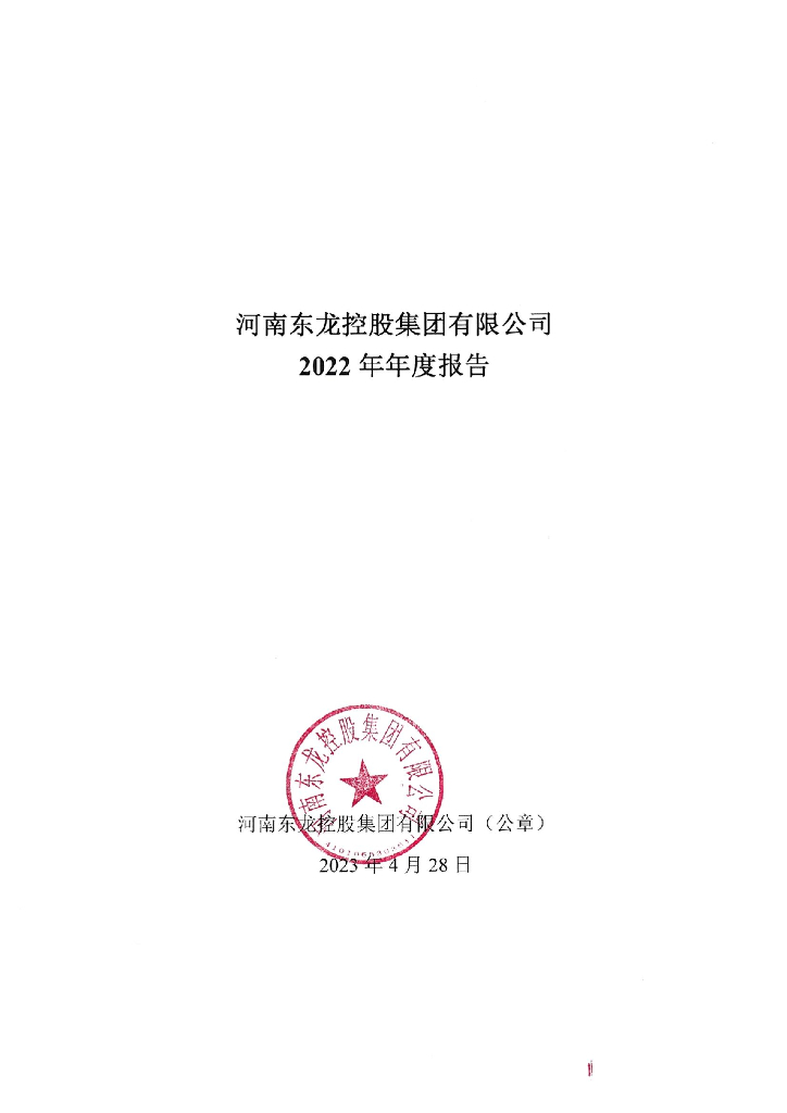 河南东龙控股集团有限公司2022年年度报告