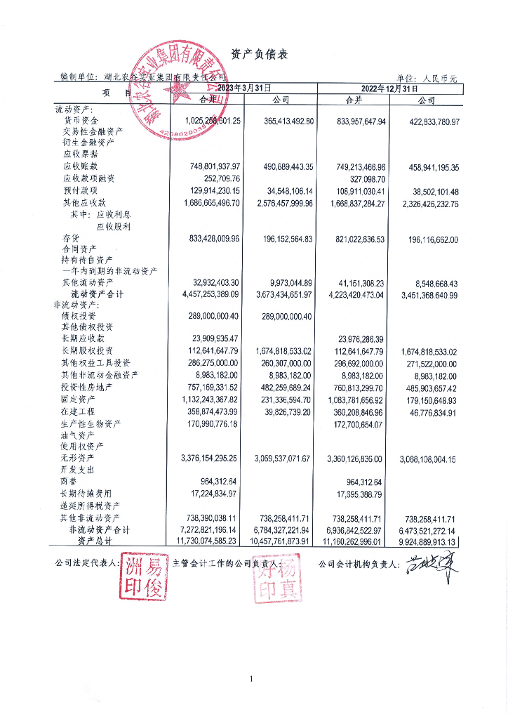 湖北农谷实业集团有限责任公司2023年一季度财务报表