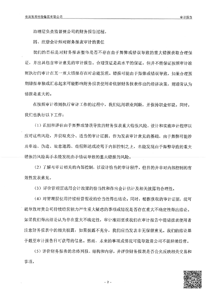 宜宾发展控股集团有限公司2022年度审计报告_第3页