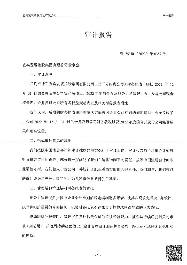 宜宾发展控股集团有限公司2022年度审计报告_第2页