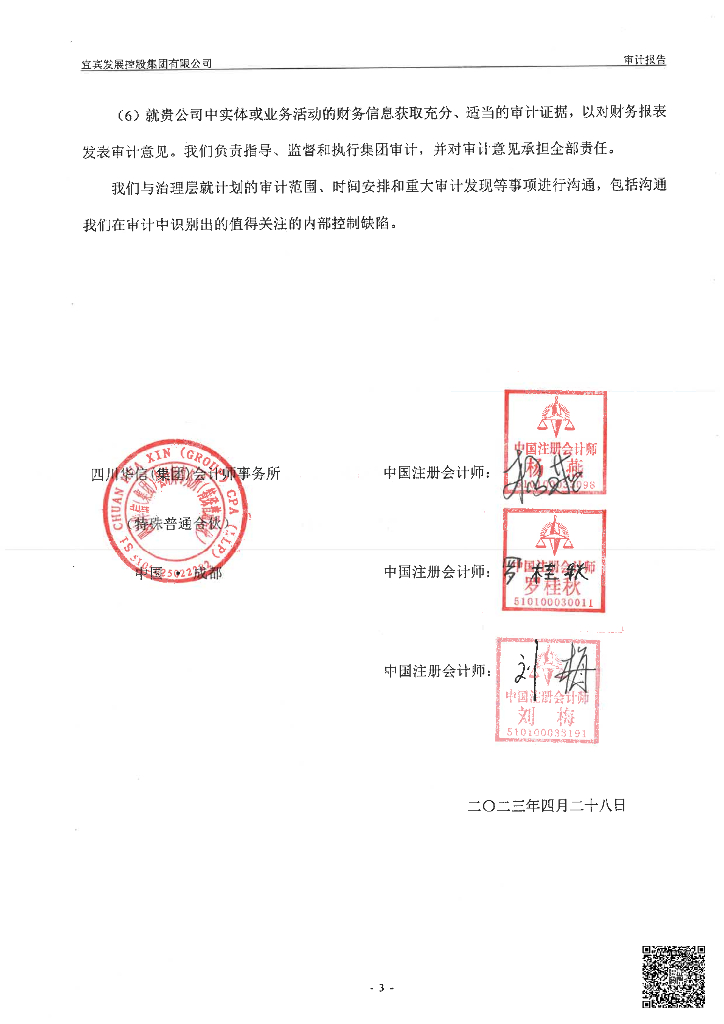 宜宾发展控股集团有限公司2022年度审计报告_第4页