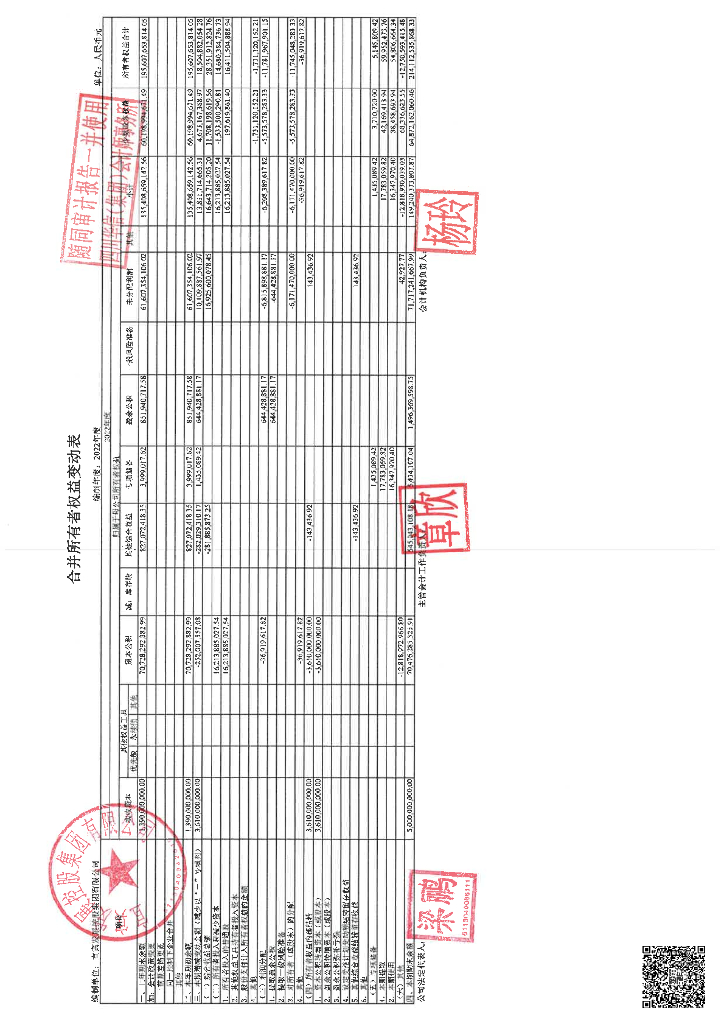 宜宾发展控股集团有限公司2022年度审计报告_第8页