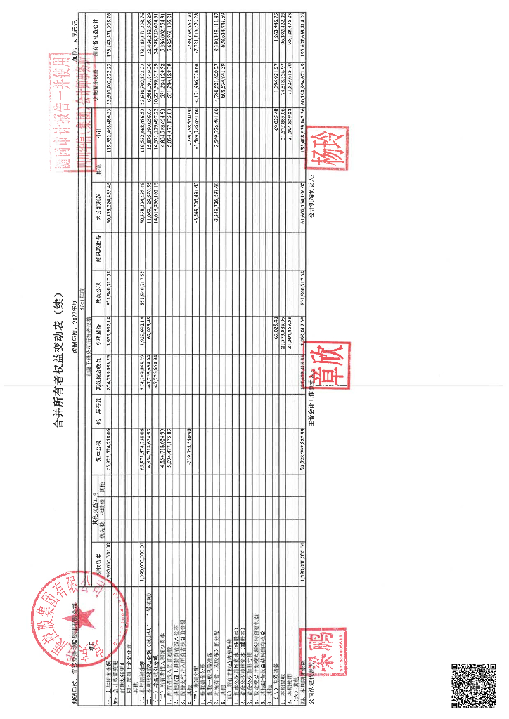宜宾发展控股集团有限公司2022年度审计报告_第9页