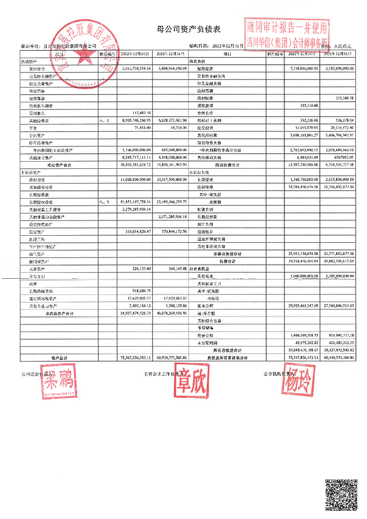宜宾发展控股集团有限公司2022年度审计报告_第10页