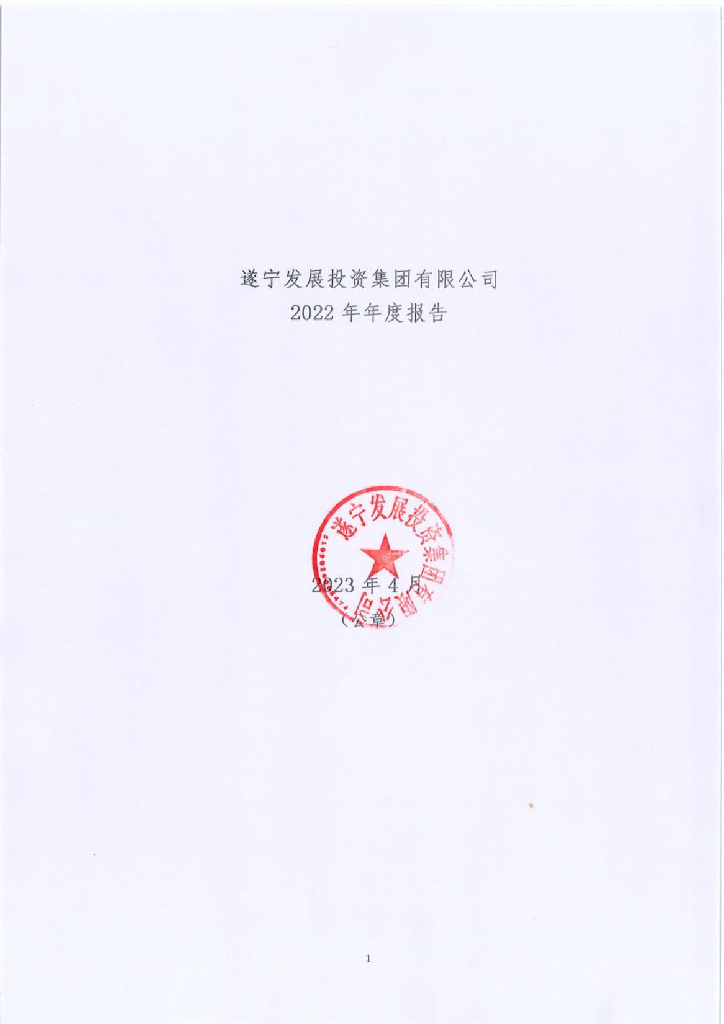 遂宁发展投资集团有限公司2022年年度报告