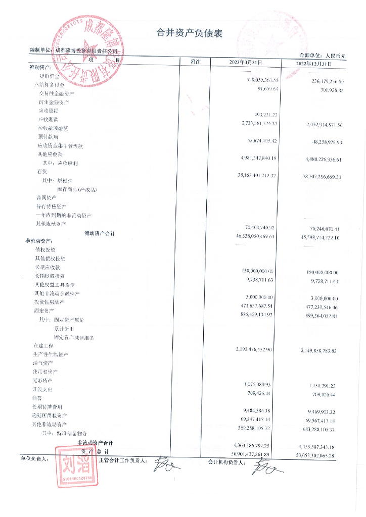 成都隆博投资有限责任公司2023年一季度财务报告
