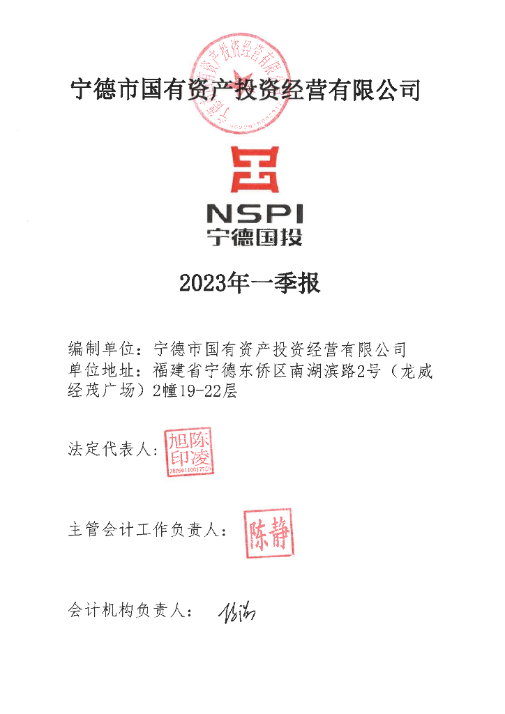 宁德市国有资产投资经营有限公司2023年一季度报表