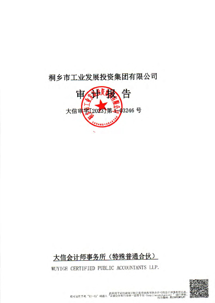 桐乡市工业发展投资集团有限公司2022年审计报告(含担保人审计报告)