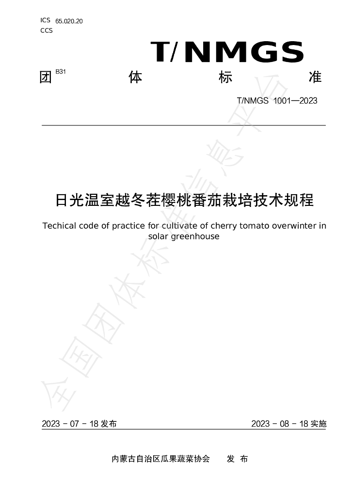 T/NMGS 1001-2023 标准预览