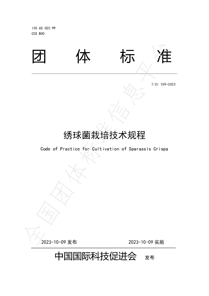 T/CI 159-2023 标准预览