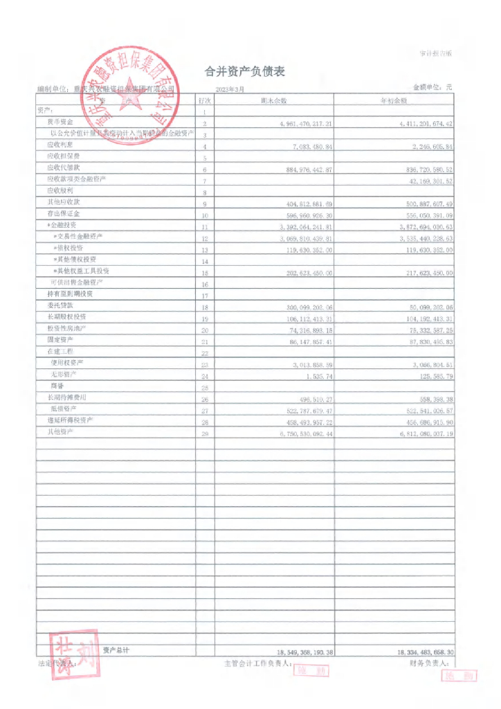 重庆兴农融资担保集团有限公司2023年第一季度财务报表