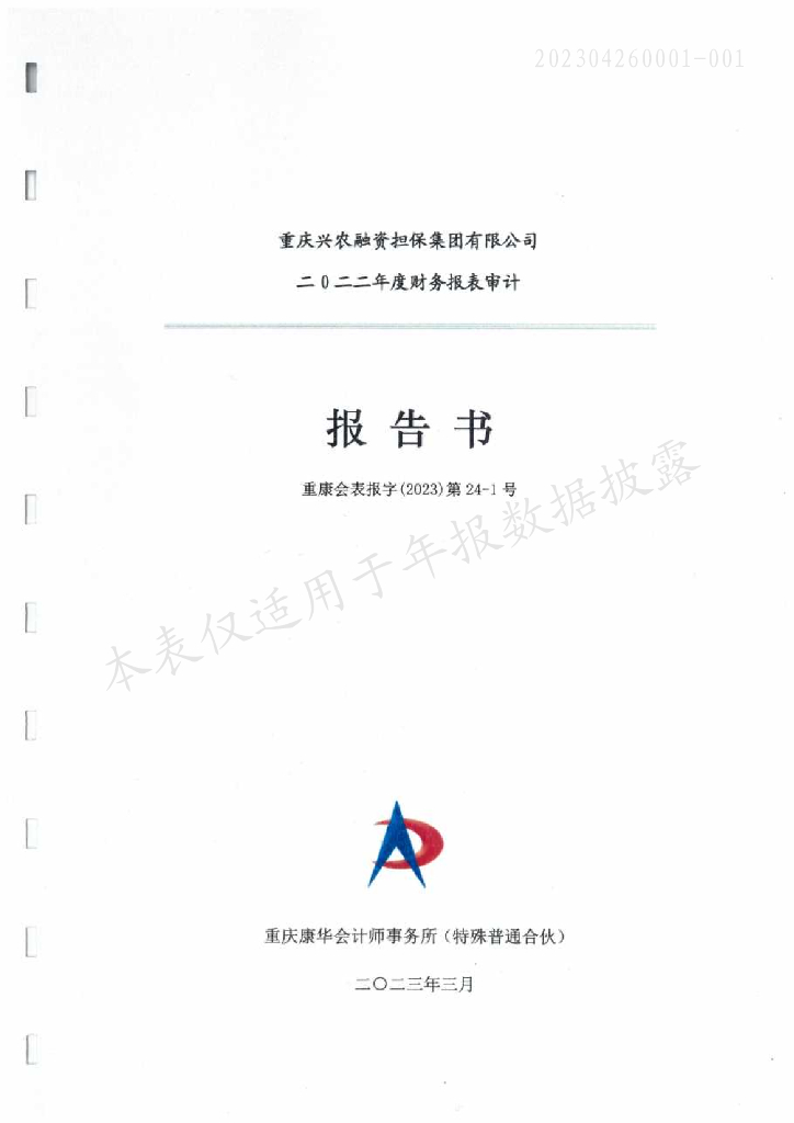重庆兴农融资担保集团有限公司2022年年度审计报告