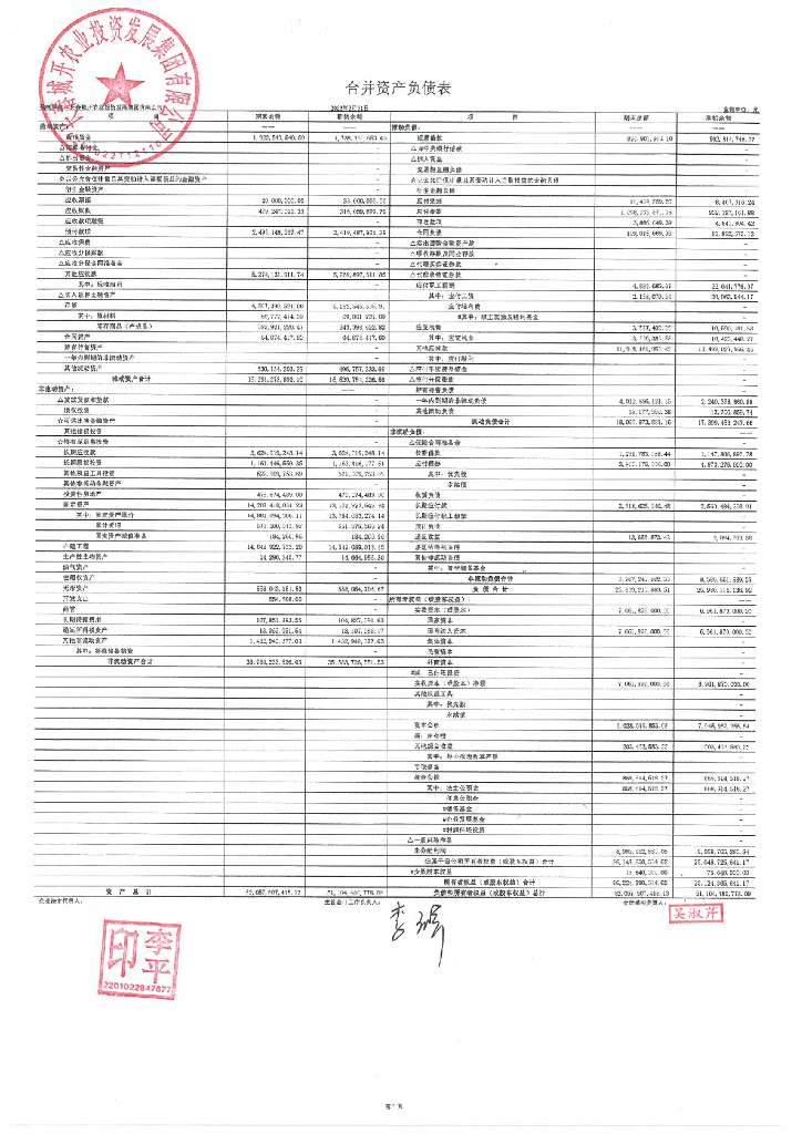 长春城开农业投资发展集团有限公司2023年一季度财务报表
