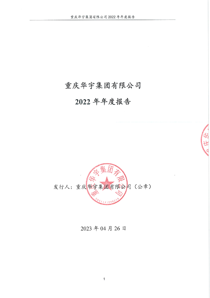 重庆华宇集团有限公司2022年年度报告及审计报告