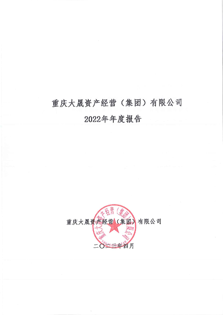 重庆大晟资产经营(集团)有限公司2022年年度报告