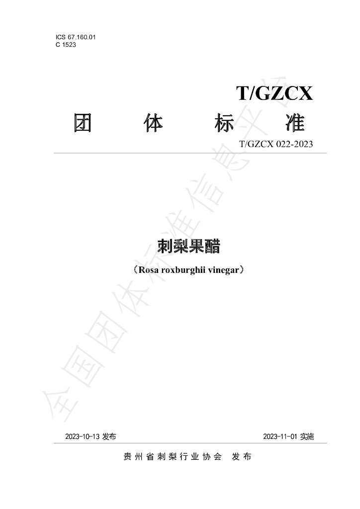 T/GZCX 022-2023 标准预览