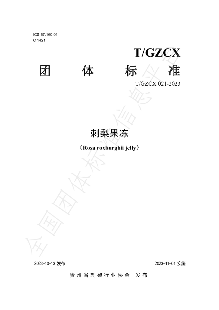 T/GZCX 021-2023 标准预览