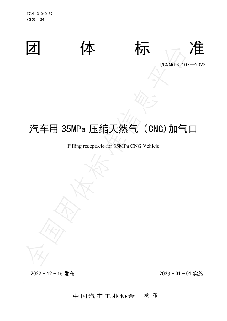 T/CAAMTB 107-2022 标准预览