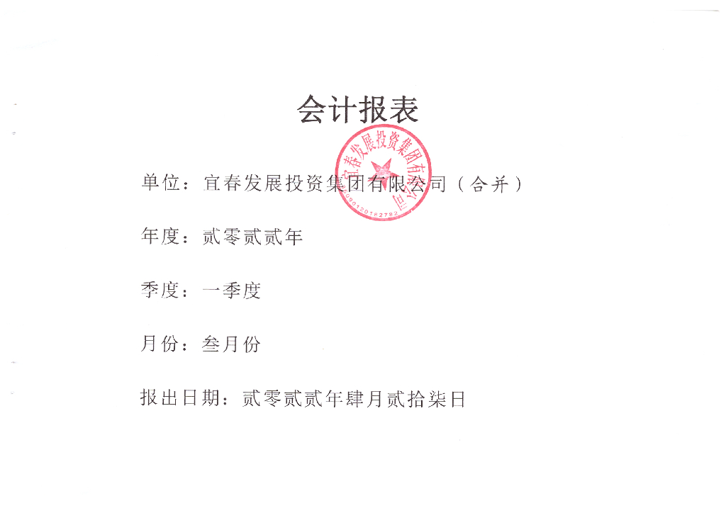 宜春发展投资集团有限公司2022年一季度财务报表海报