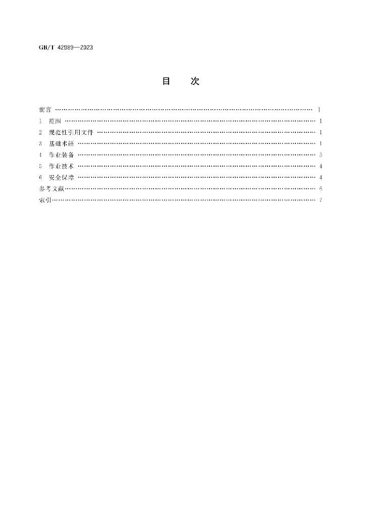 GB/T 42989-2023 标准预览
